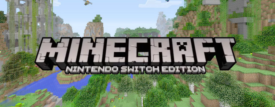 Minecraft switch edition 1